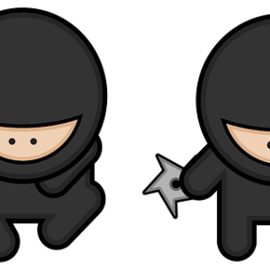 Ninja PNG