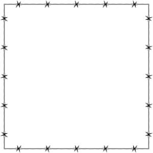 Barbwire PNG