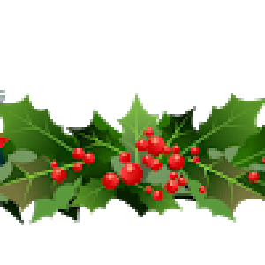 Christmas garland PNG