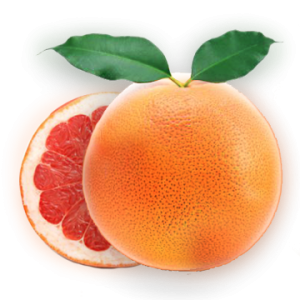 Grapefruit PNG