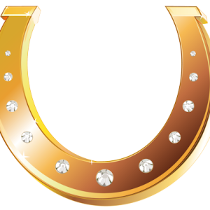 Horseshoe PNG