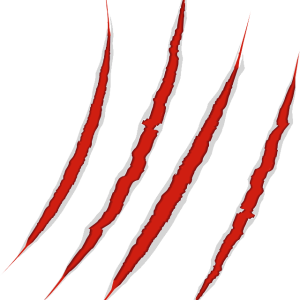 Scratches claw PNG image