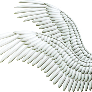 Wings PNG