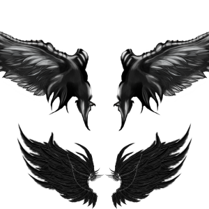 Wings PNG