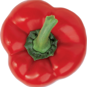 Bell pepper PNG