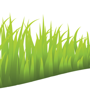 Grass PNG