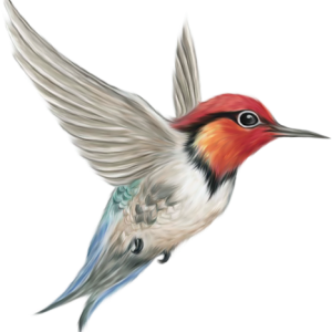 Bird PNG