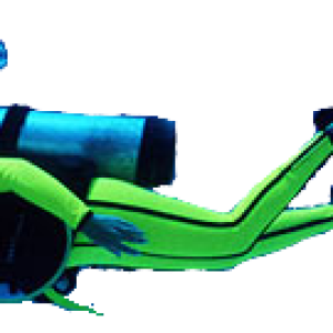 Diver PNG