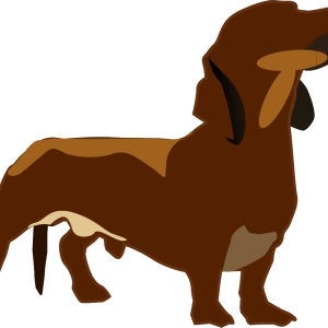 Dachshund PNG