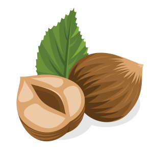 hazelnut PNG