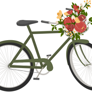 Bicycle PNG