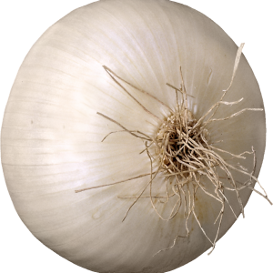 Onion PNG
