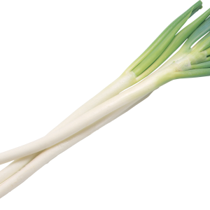 Leek PNG