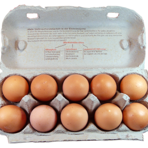 eggs PNG