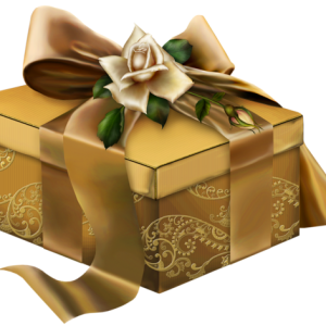 Gift box PNG