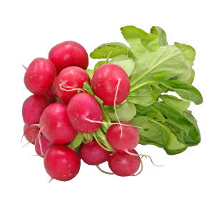Radish PNG