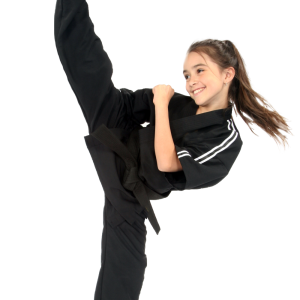 Karate PNG