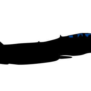 Jet fighter PNG
