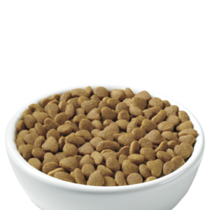 Dog food PNG