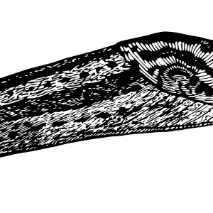 Slug PNG