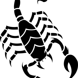 Scorpion tattoo silhouette PNG