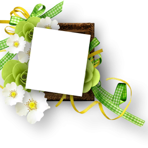 Floral frame PNG