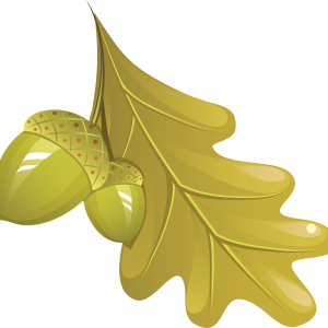 autumn PNG leaf