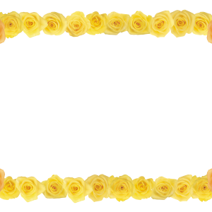 Floral frame PNG