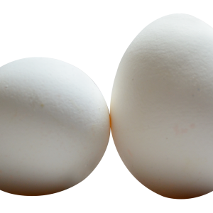 Eggs PNG
