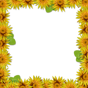 Floral frame PNG