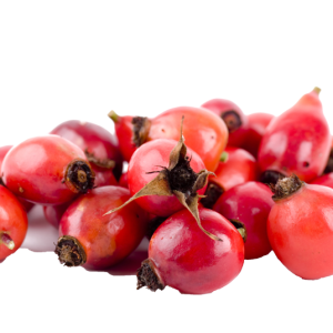 Rose hip PNG