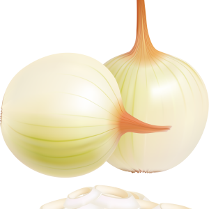 Onion PNG