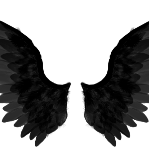 Black wings PNG