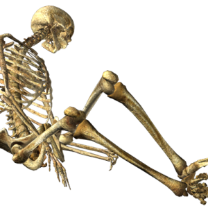 Skeleton PNG