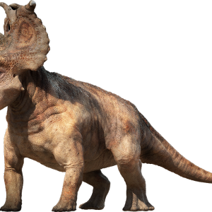 Dinosaur PNG