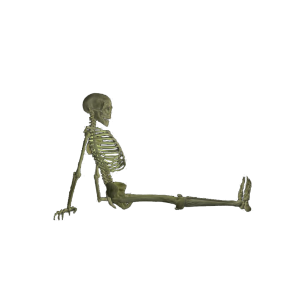 Skeleton PNG