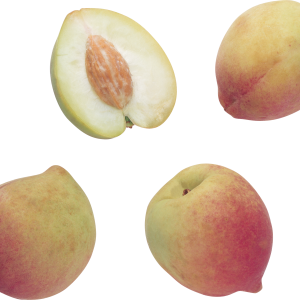 Peach PNG image