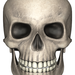 Skull PNG
