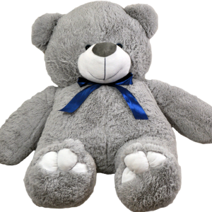 Teddy bear PNG