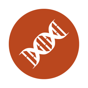 DNA PNG