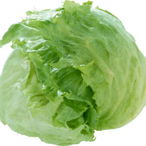 Cabbage PNG