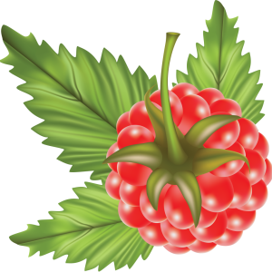 Rraspberry PNG image