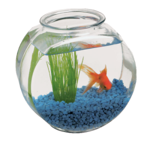 Aquarium PNG
