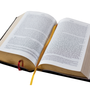 open bible PNG