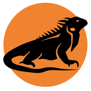 Iguana PNG