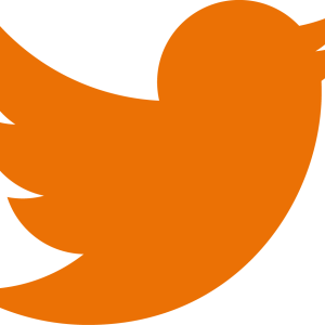 Twitter logo PNG