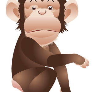 Monkey PNG
