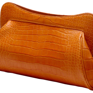 Leather women bag PNG image