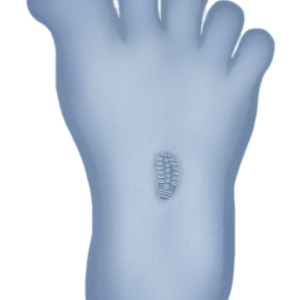 Yeti PNG
