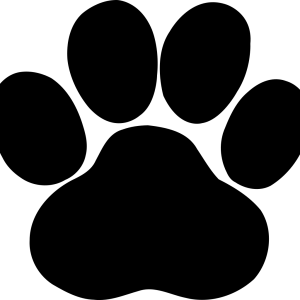 Paw PNG